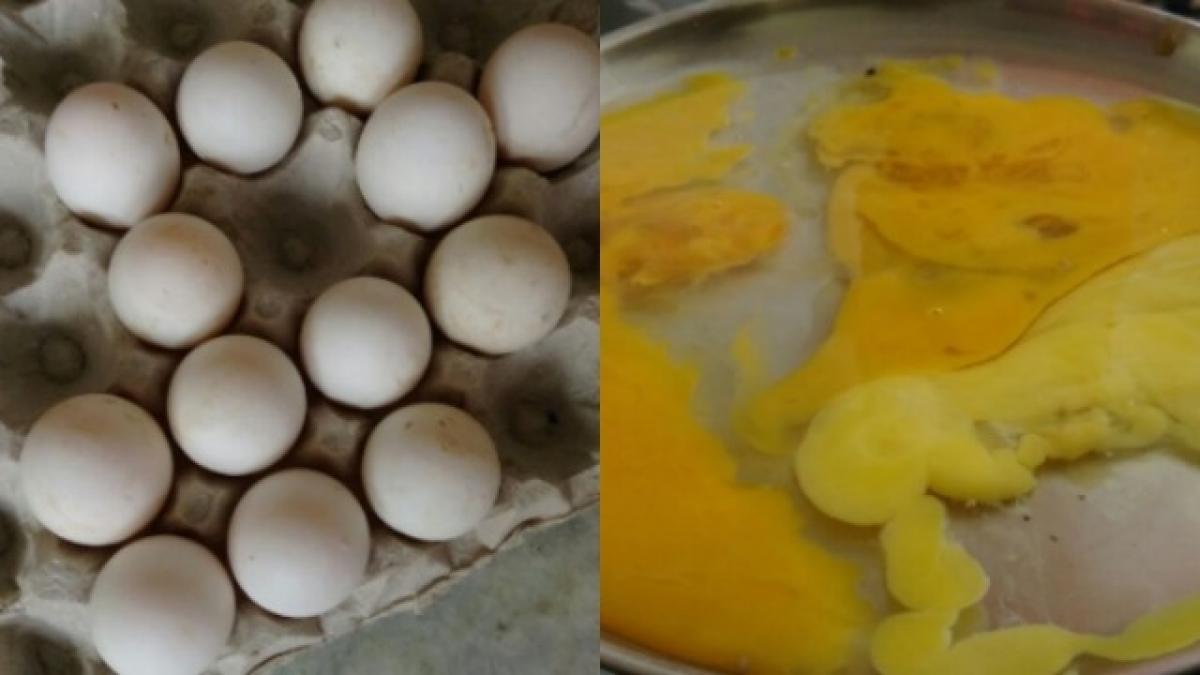 Kolkata: Man sells fake eggs, arrested